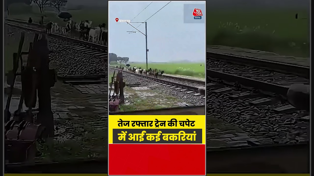 Shorts | तेज रफ्तार ट्रेन की चपेट में आईं कई बकरियां #viral #shorts #trending #ATShorts