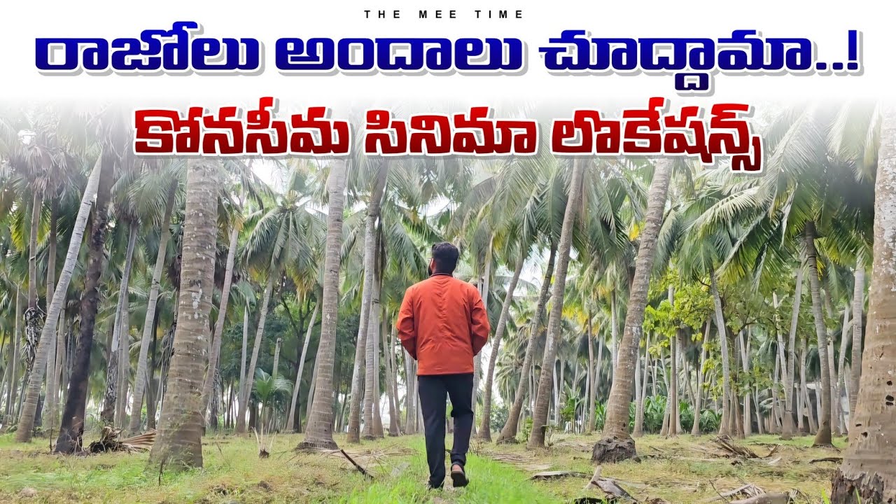 కోనసీమలోని రాజోలు ఊరు చూద్దాం రండి 👌🏻#teluguvlogs #travelvlogs #konaseema #villagelife #Razole #food