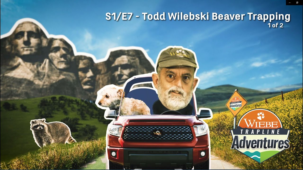 Wiebe Trapline Adventures - Show 7 - 2020 Todd Wilebski Beaver 1 of 2
