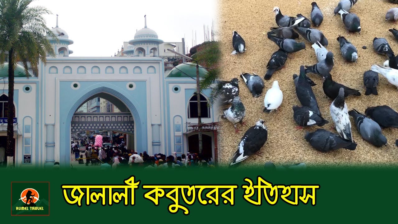 শাহ্জালাল মাজারে জালালী কবুতরের ইতিহাস | Jalali Pigeon | Sahjalal Majar | Sylhet | Romel Travel vlog