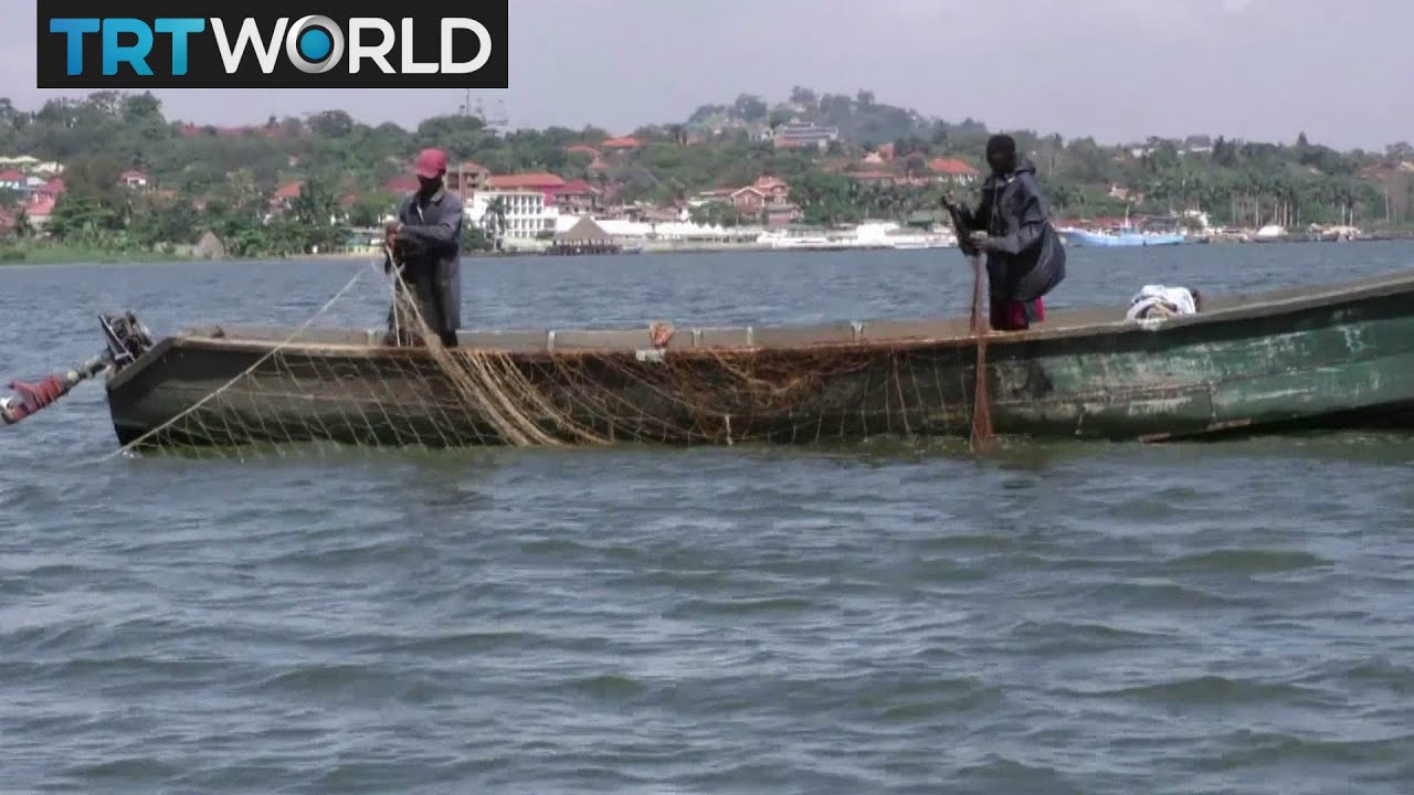 Uganda Pollution: World's second biggest lake in danger of dying
