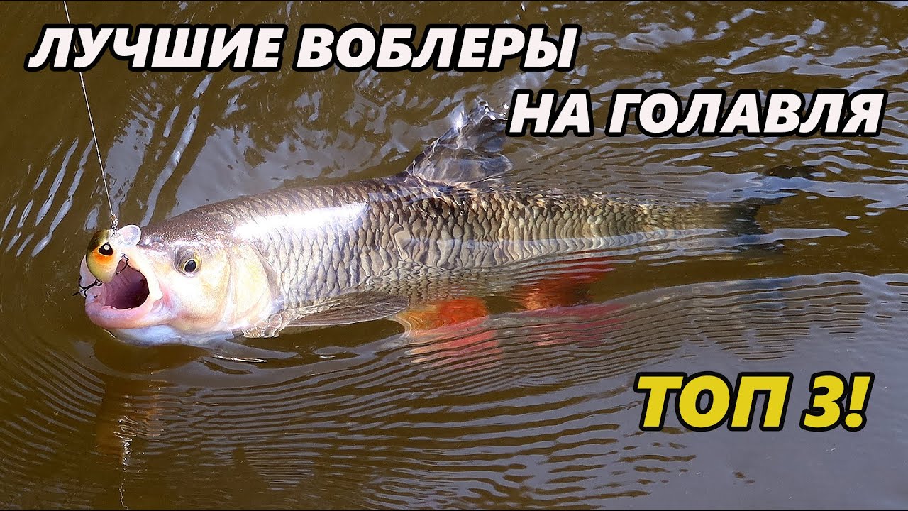 Топ 3 воблеров на голавля. Лучшие приманки для разных условий