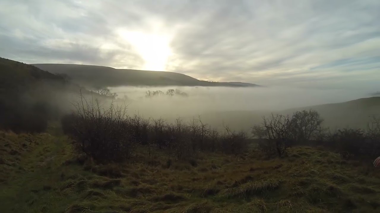 Pheasant shooting 2026