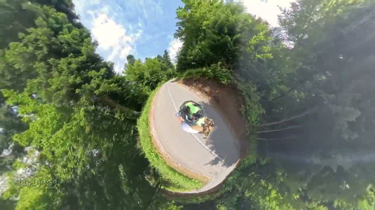 GORSKI KOTAR - šumski krug