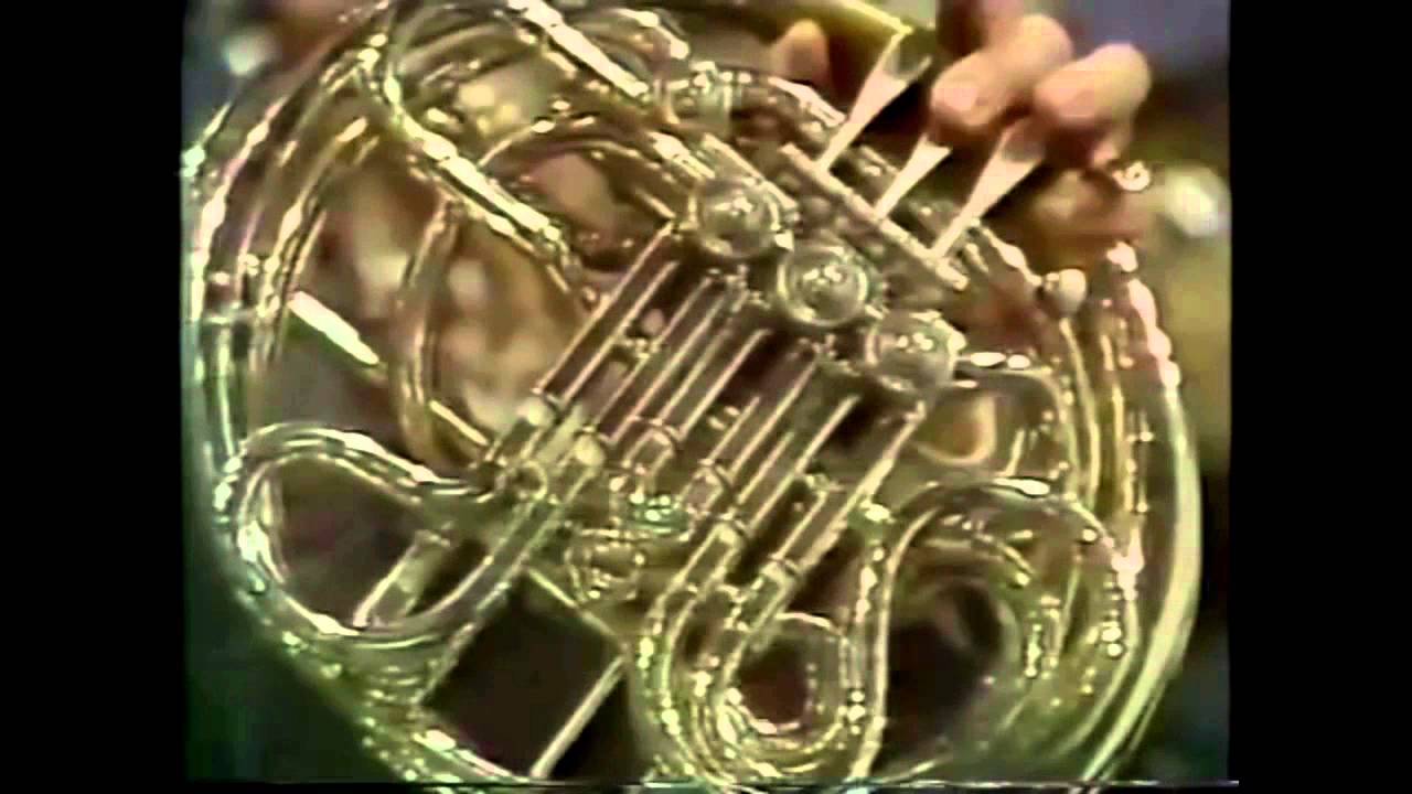 Williams's Star Wars Leia's Theme, Horn Solo