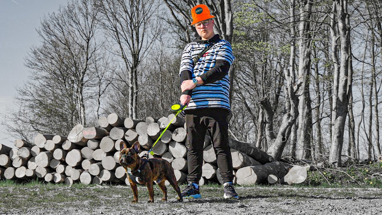 Branco - Hundo PARODI (Guld Dennis - Hund Do')
