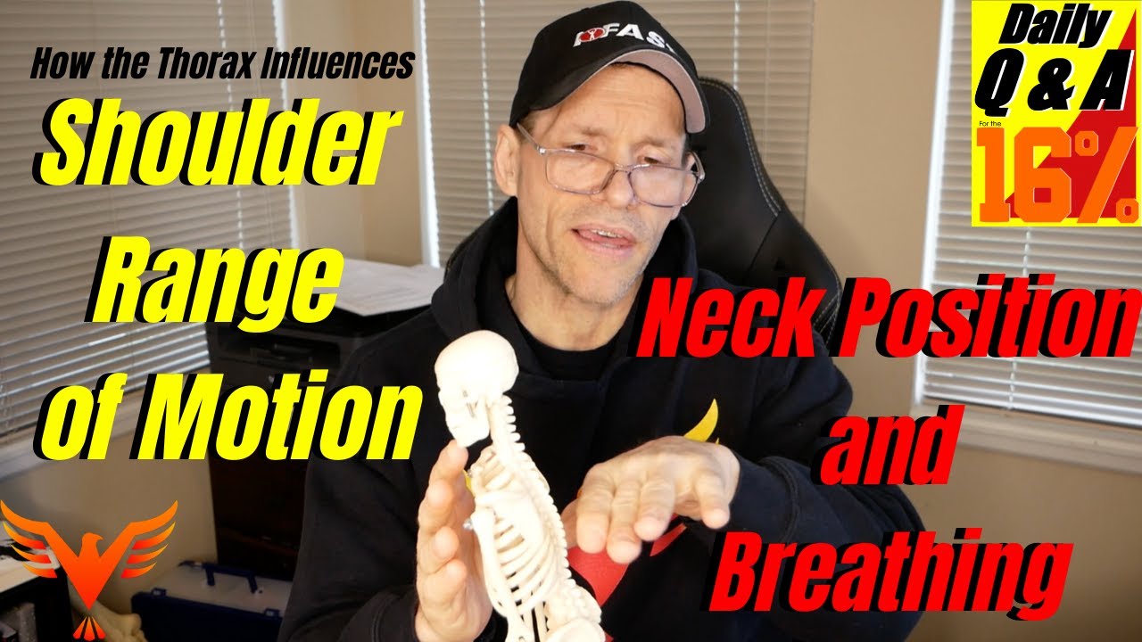 Q & A for The 16% - How the Thorax Influences the Shoulder - How Your Neck Influences Breathing