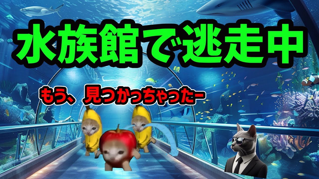 水族館で逃走中！！とっておきの景品をもらえるかな？【猫ミーム】【猫マニ】