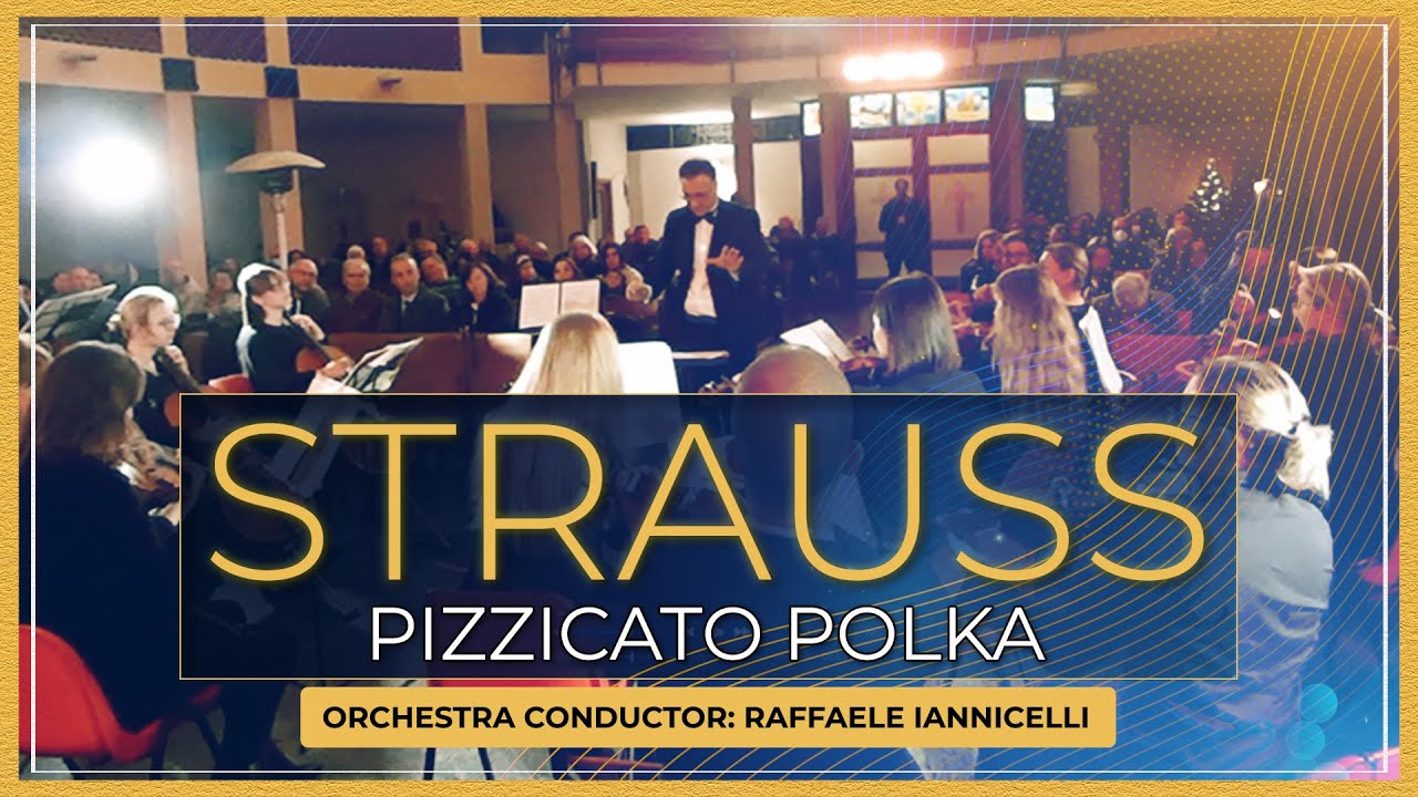 Pizzicato Polka by STRAUSS Brothers Will Make You Love Classical Music