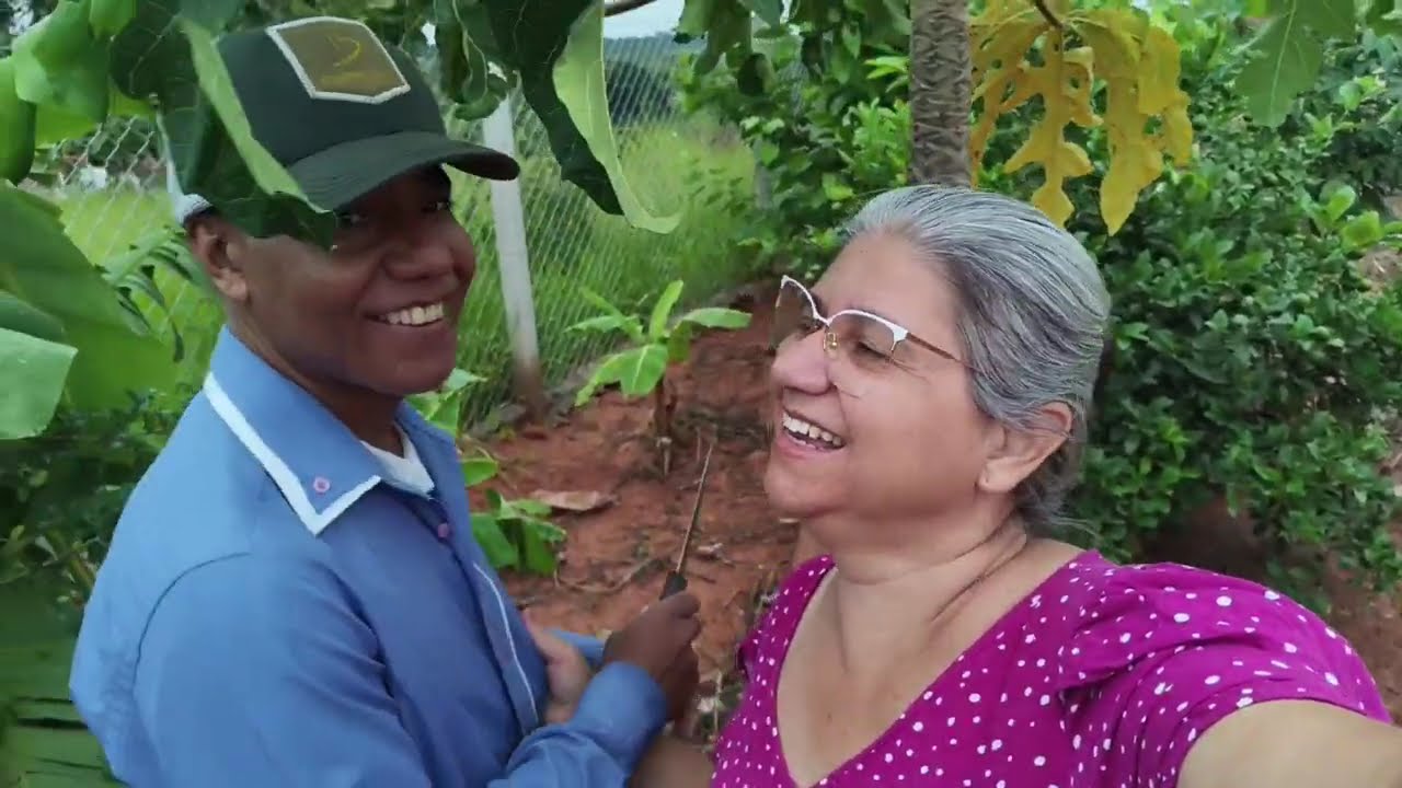 ANTES DA CASA PRONTA,JÁ TEM COLHEITA.                              Diário da chácara-Parte 2