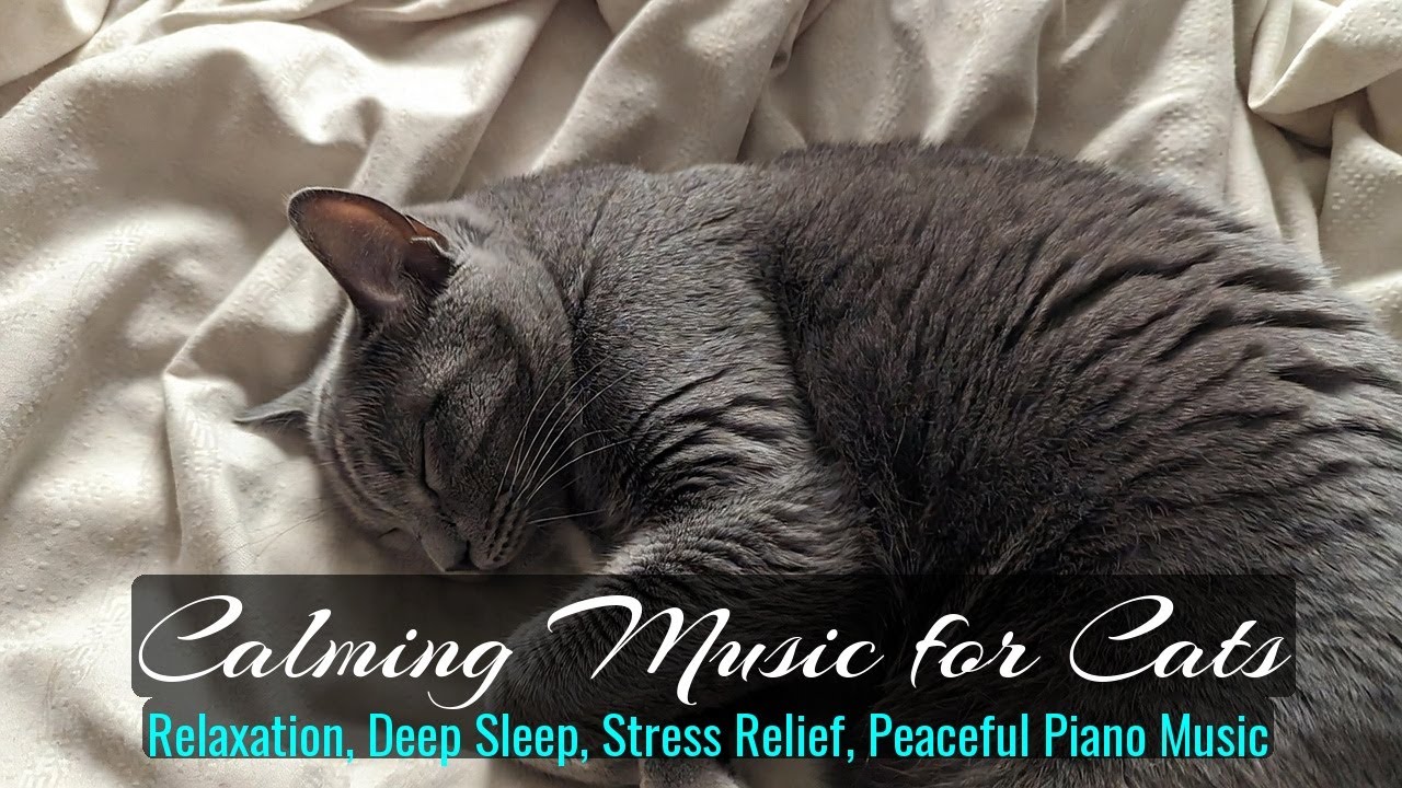 Calming Music for Cats - Relaxation, Deep Sleep, Stress Relief, Peaceful Piano Music | Season 45