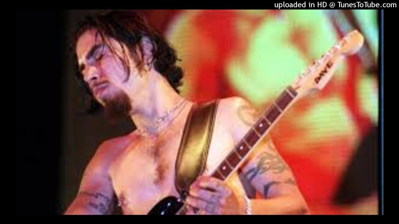 Dave Navarro - Circle Of The Noose (isolated guitar solo)