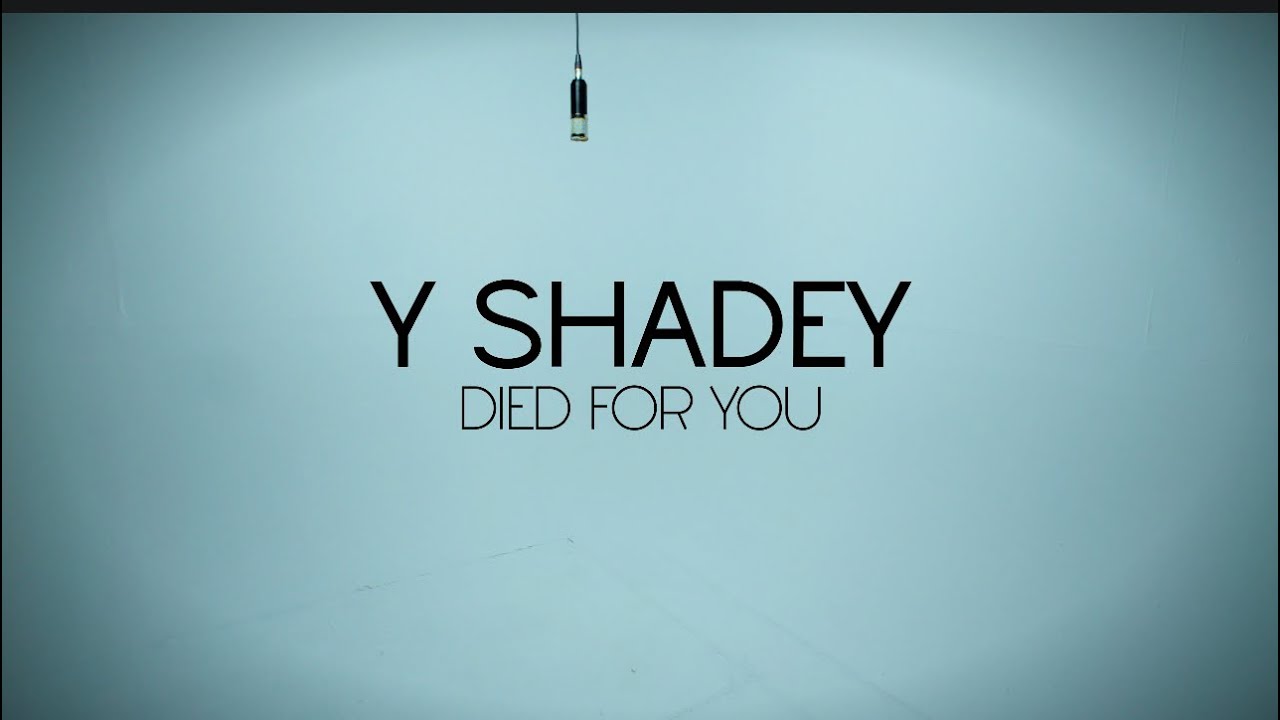 Y Shadey - Died for You