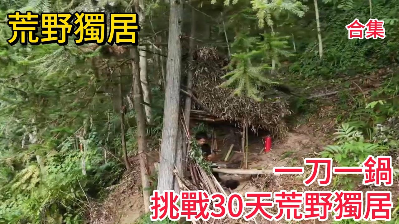 【30天荒野獨居】開局一把刀！看他如何從荒野難民變成荒野土豪，連蛤蟆都收編當寵物！