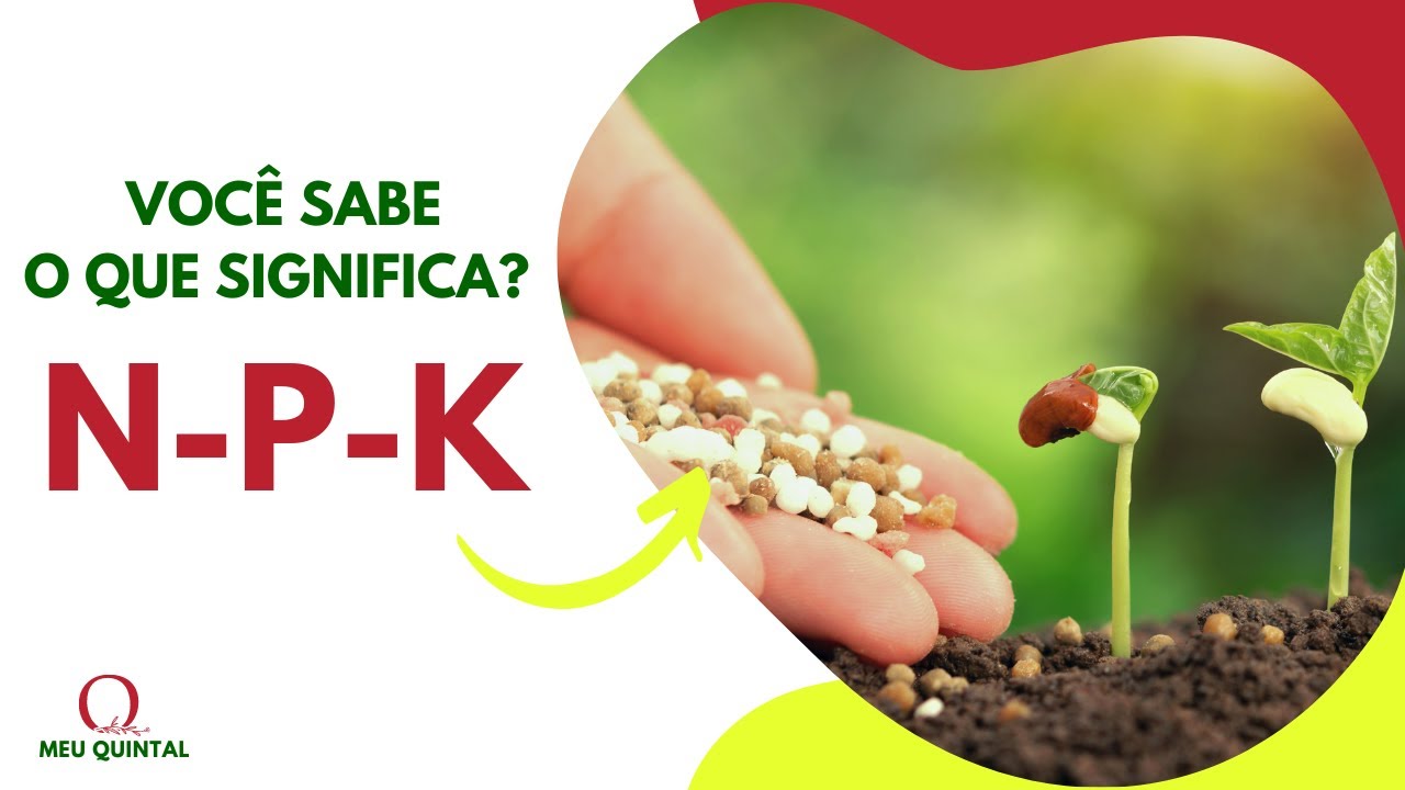 VOCÊ SABE O SIGNIFICA N-P-K ??? CONHEÇA TUDO SOBRE ESSE ADUBO E AS FUNÇÕES DE CADA NUTRIENTE!!!