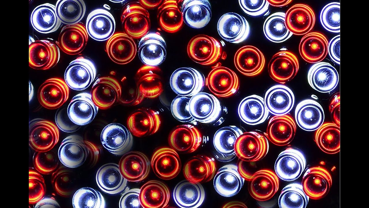 1000 Red & Cool White LED 50m String Fairy Light