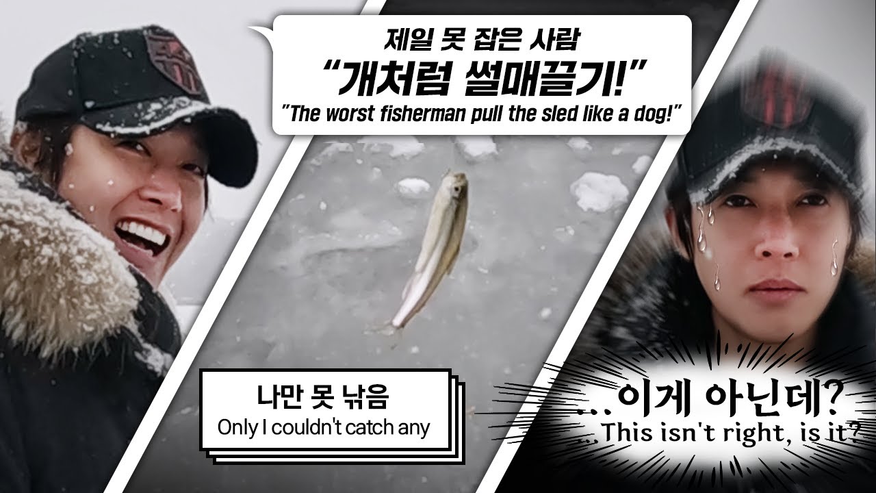 ...내가 개가 되겠는데?