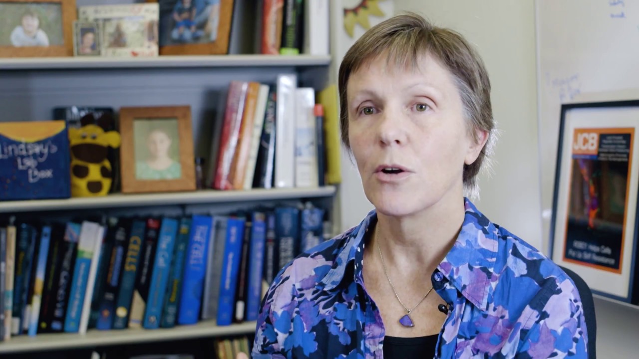 UC Santa Cruz Special Report: Cancer Research (Lindsay Hinck)