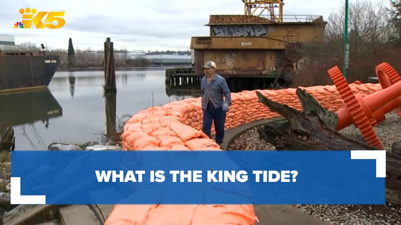 What is a King tide and what's being done to help the South Park Community?