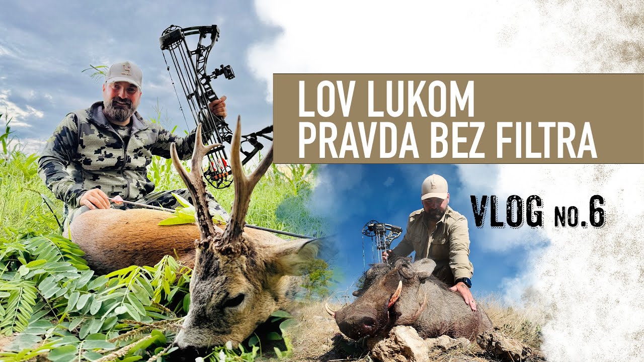💥 Realita lovu lukom 🏹 – čo ukázala štúdia? Téma, o ktorej sa (ne)hovorí 😲