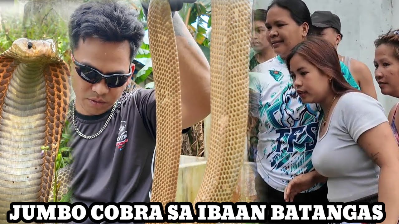 PUMULUPOT SA GRIPO COBRA SA IBAAN BATANGAS NAPAKALIKSI KAHIT MALAKI