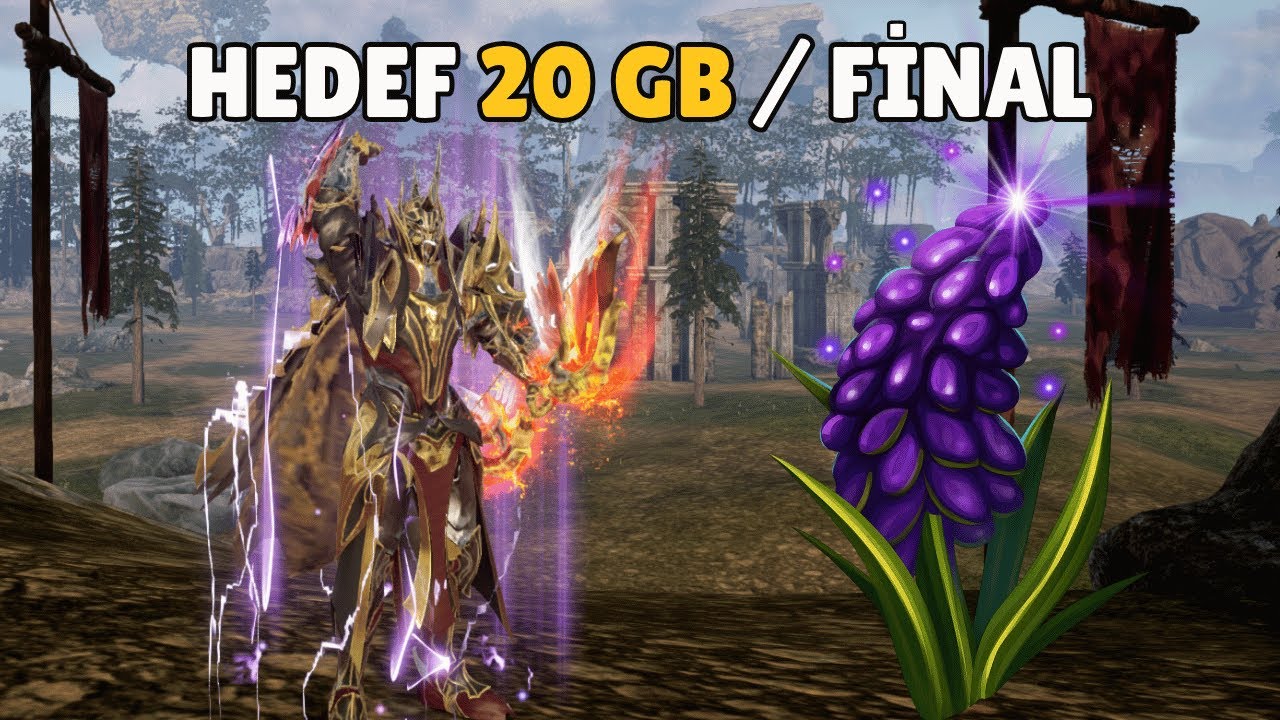 30 Günde 20 GB Kasıyoruz / FİNAL / Rise Online World