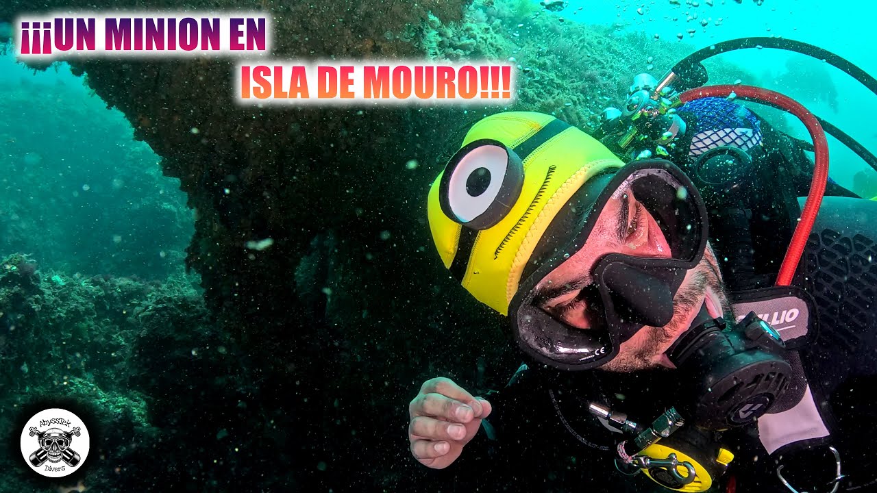 ¡¡¡UN MINION EN ISLA DE MOURO!!!