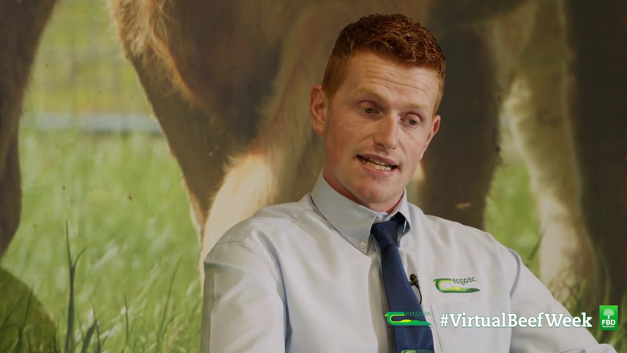 Beef Talk with the Irish Farmers Journal - Monday 6 July - Virtual Beef Week