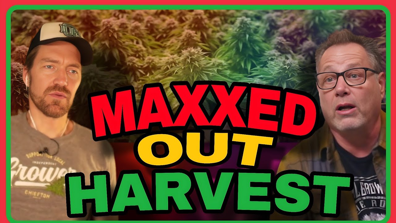 Use These Tricks to Get More Yields from Smaller Plants