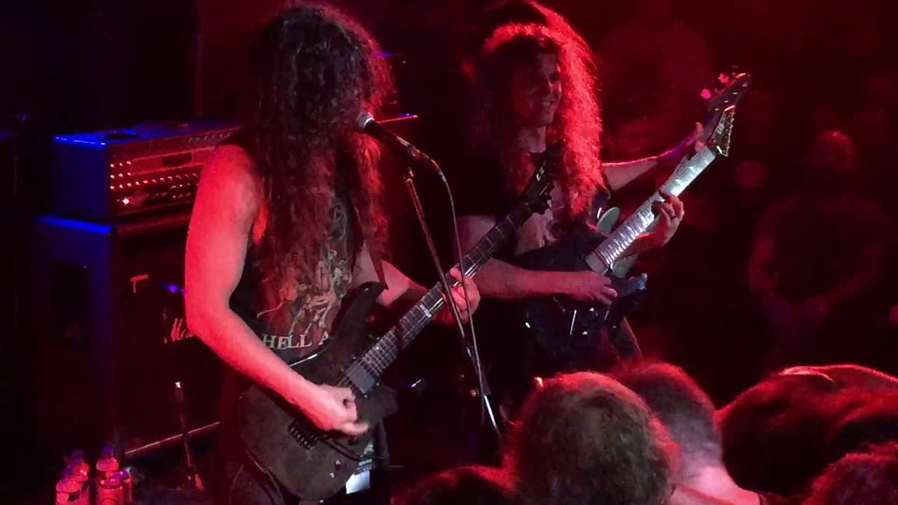 Vektor performs 
