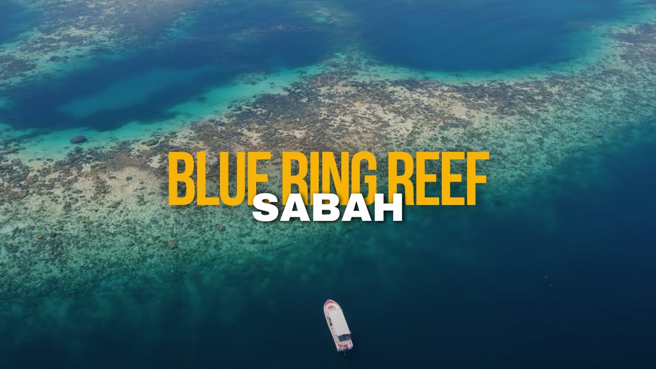 RareGEMS I Blue Reef, Lahad Datu, Sabah