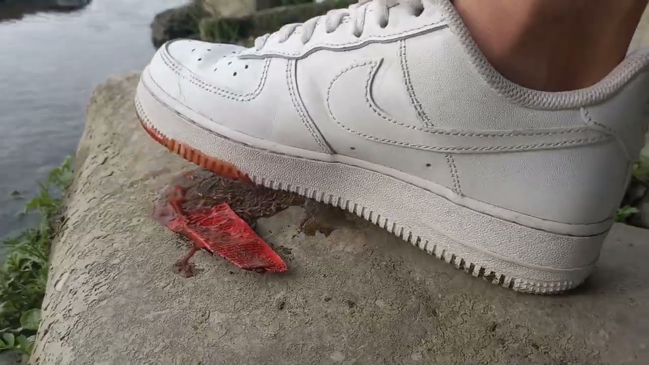 Twink crushes a ketchup packet with his new white sneakers Nike Air Force 1 AF1