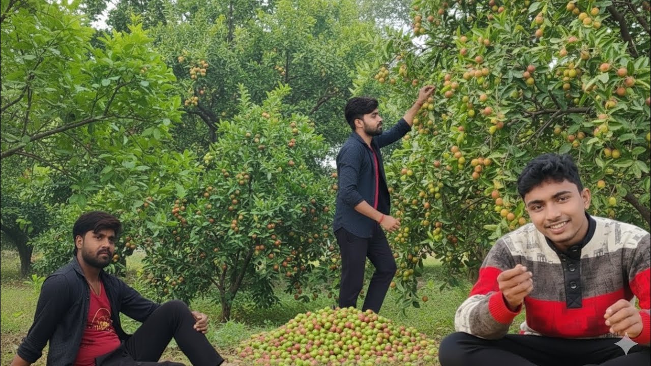 गए थे दवा लेने आते समय मामा बेर खाने लगे