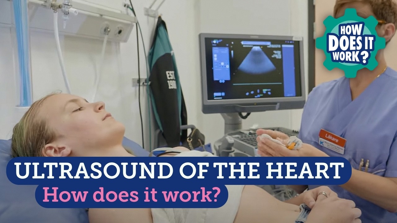 Ultrasound of the Heart (Teenagers)