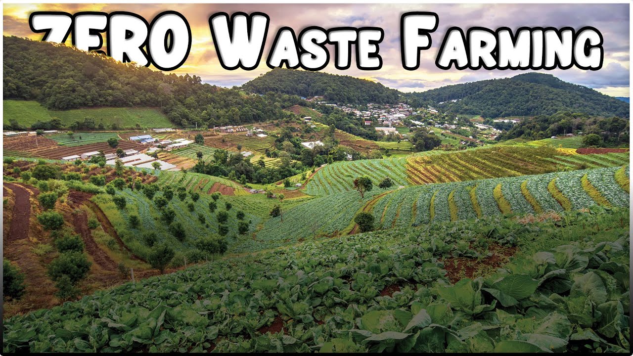 Zero Waste Farming System | Agricultural Waste Management Methods