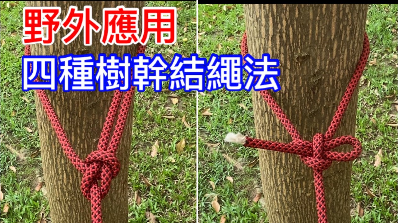 四種樹幹繩結