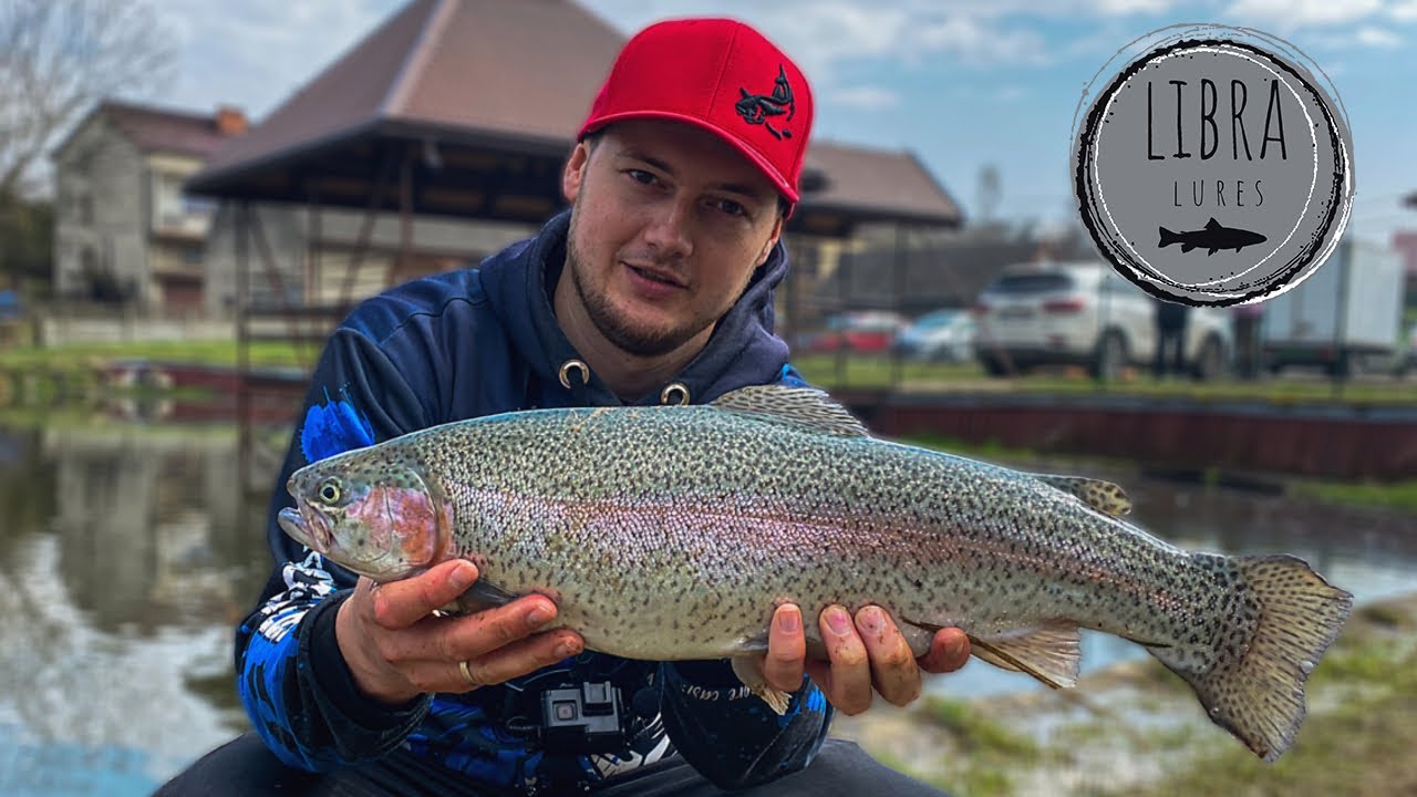 SF Trout Area ! łowimy pstrągi na gumy ! 60+ !