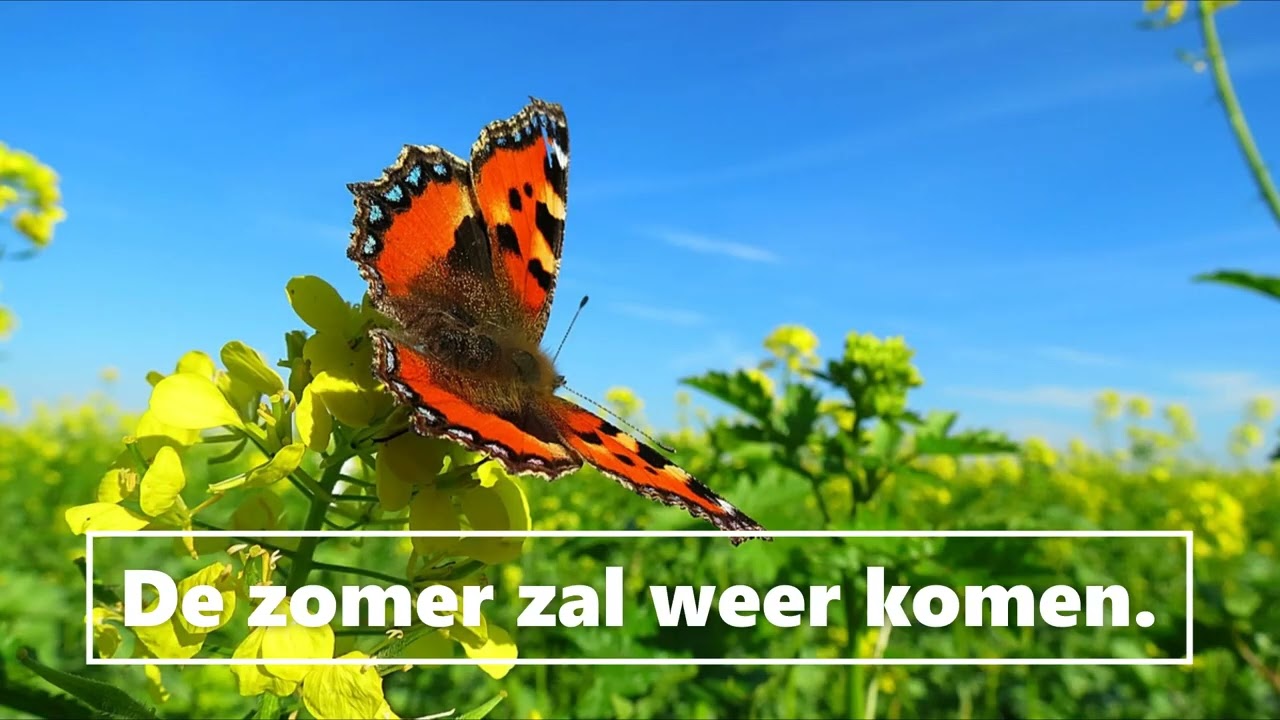 Pasen is een nieuw begin