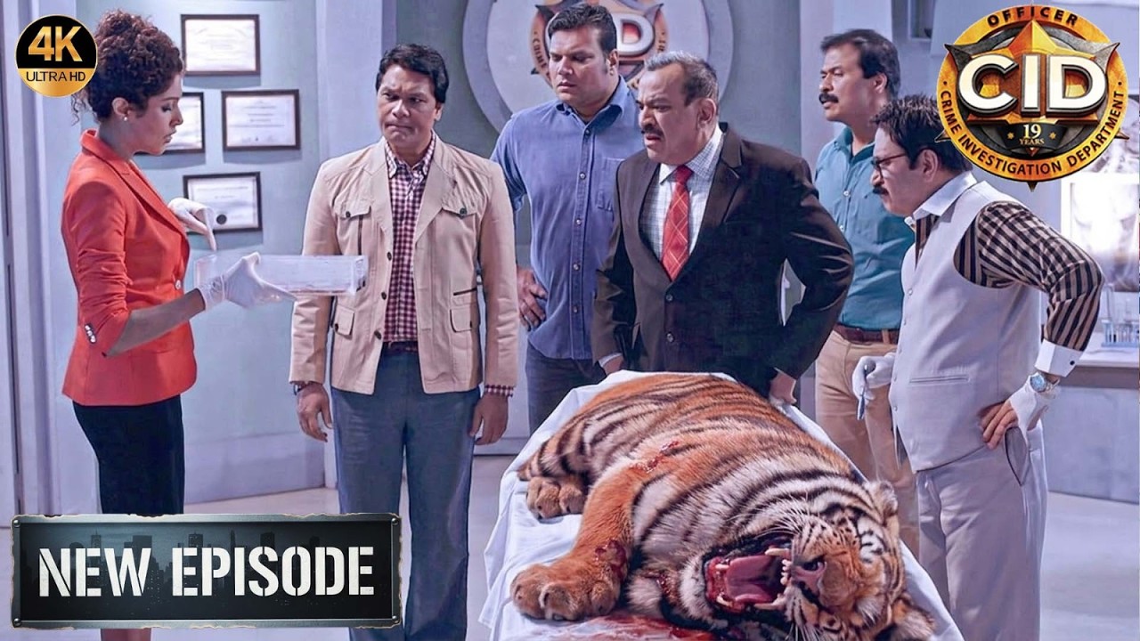 शेर के पेट में CID को मिला खून का सबूत | CID New Episode 2026 | सी.आई.डी.