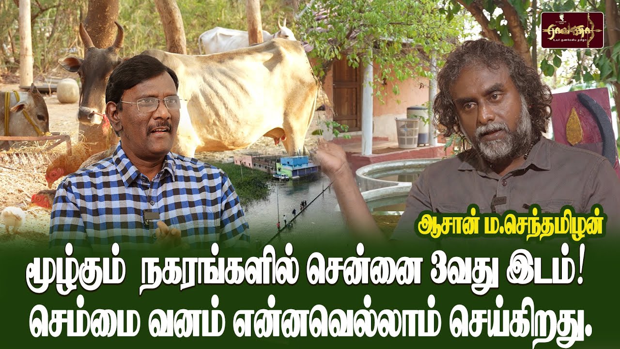 Part 3 | மூழ்கும்  நகரங்களில் சென்னை 3வது இடம்!| செம்மை வனம் என்னவெல்லாம் செய்கிறது...