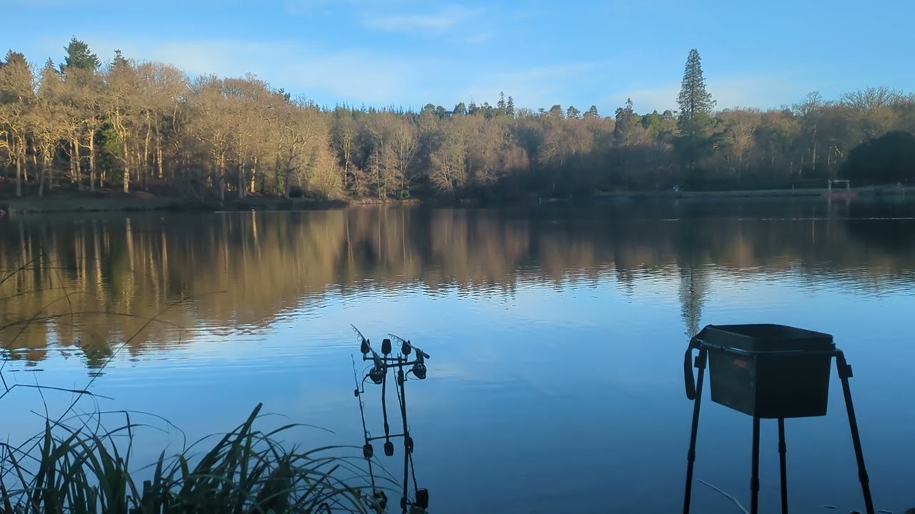 Avoiding the Blank 25 Part 1 (Winter Carp Fishing at Shearwater and chub fishing on southern rivers)