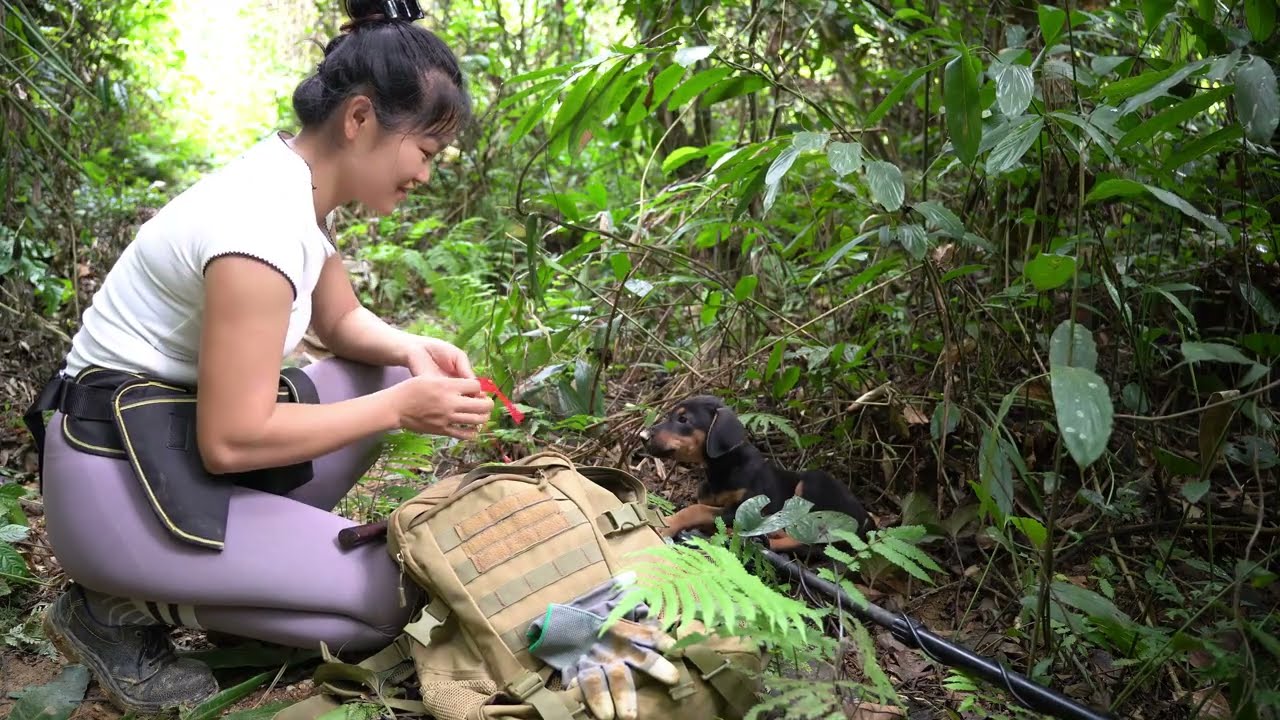 My Dog ​​Helped Me Find a Hidden Treasure Chest Full of Ancient Coins Underground! 🔥