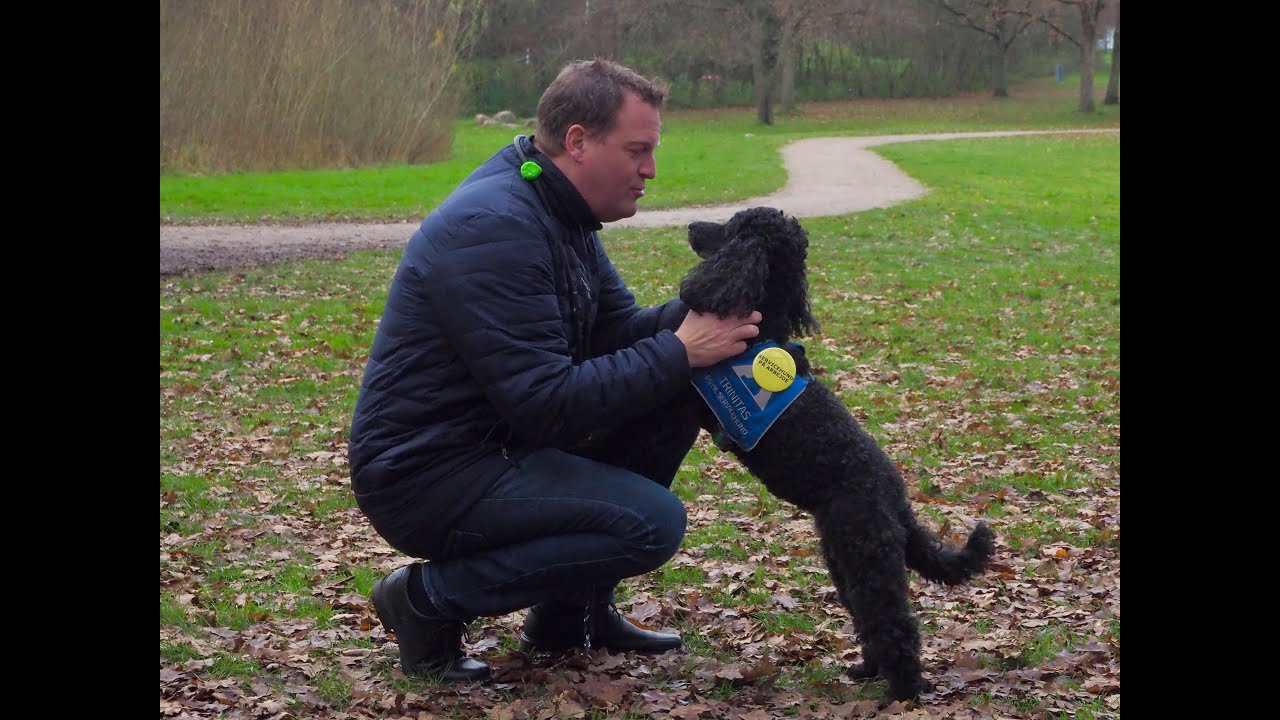 Psykiatriske servicehunde kan redde liv