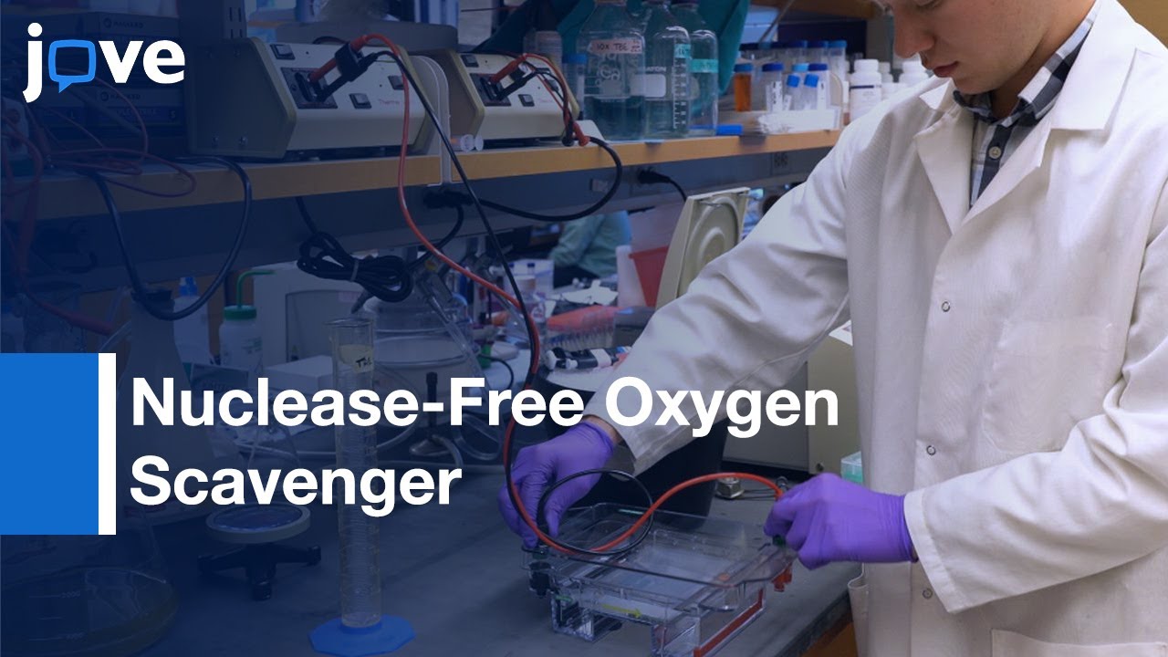Nuclease-Free Oxygen Scavenger PCD Expression and Purification | Protocol Preview