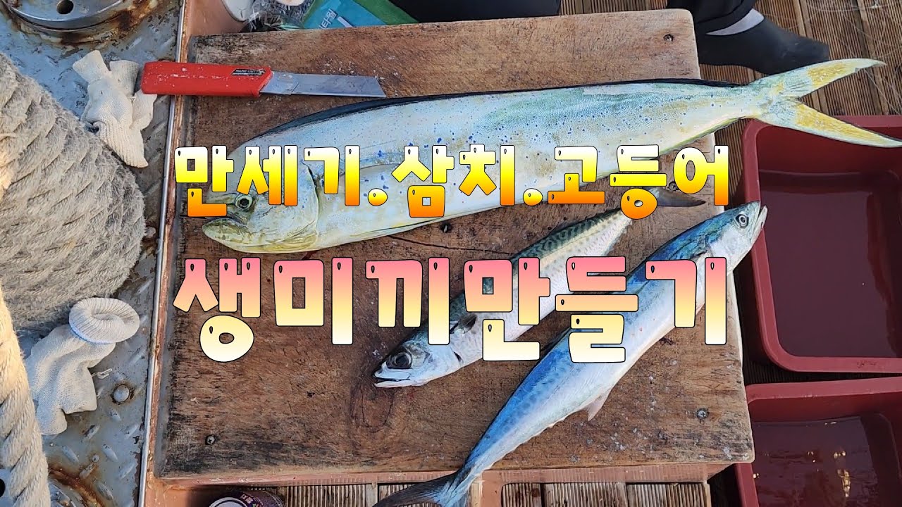 만세기.삼치.고등어 3종세트 특급미끼만들기.