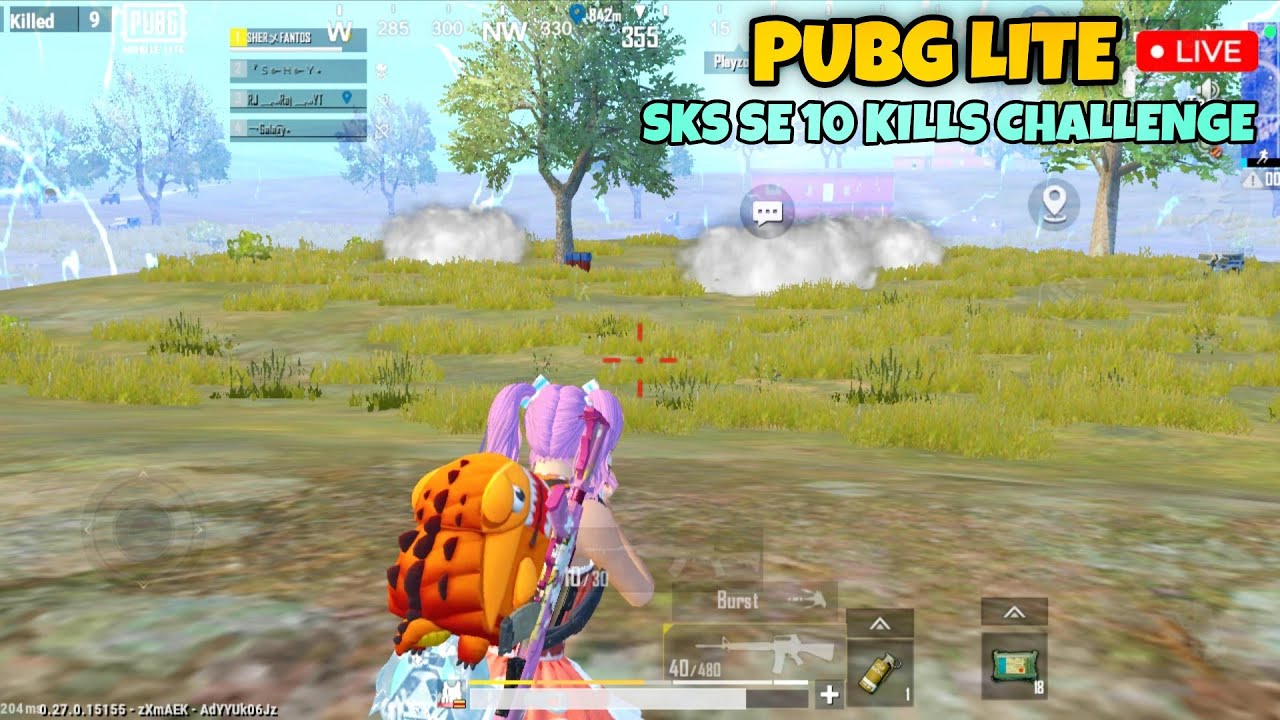 PUBG LITE LIVE | SOLO VS SQUAD GAMEPLAY 😳SKS SE 10 KILLS CHALLENGE