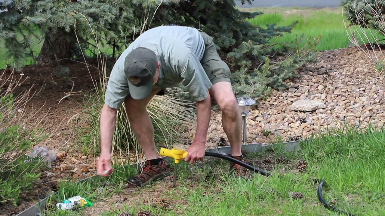 How to Properly Use a Ross Root Feeder by Consulting Arborist, Jim McGannon