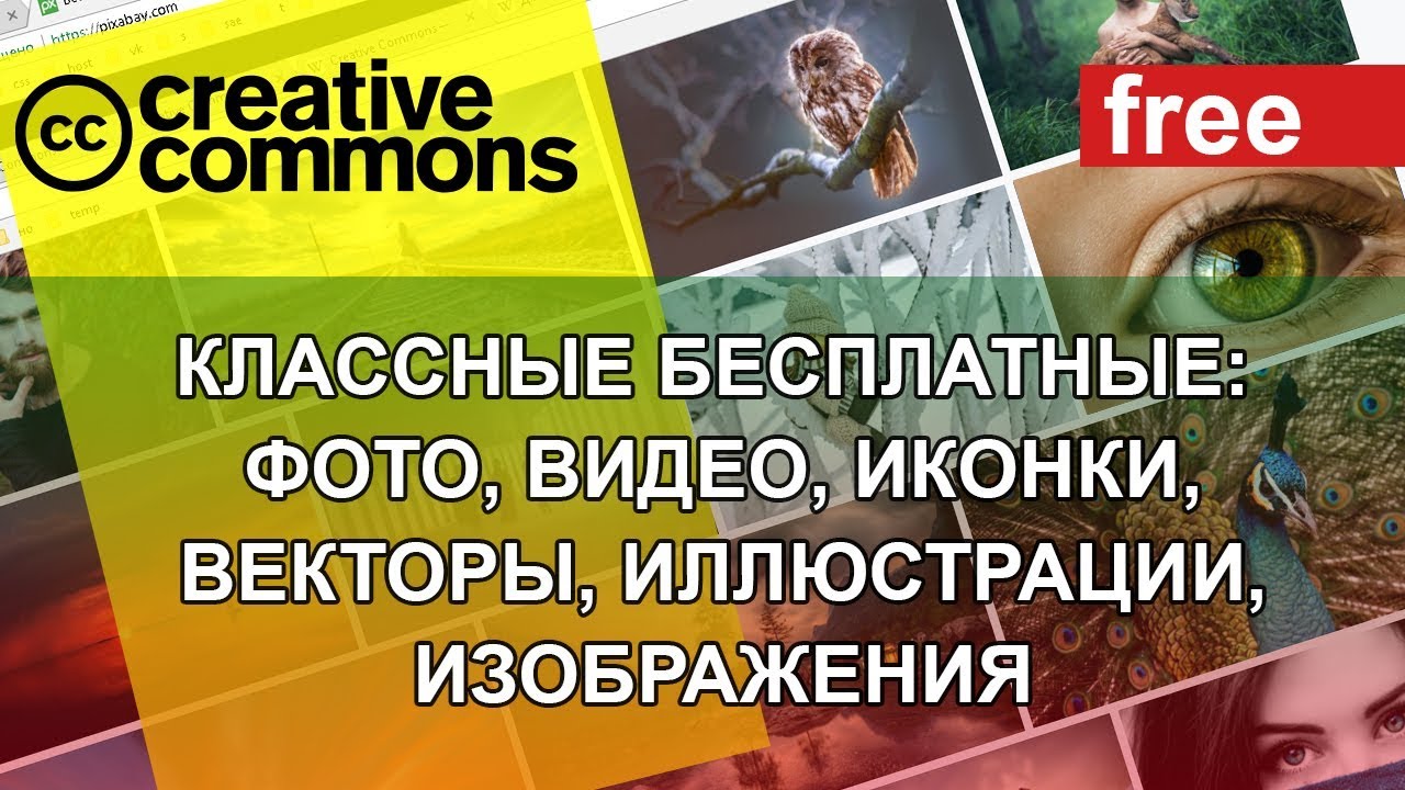 БЕСПЛАТНЫЕ ФОТО 🚔 ВИДЕО ИКОНКИ ВЕКТОРЫ ИЛЛЮСТРАЦИИ ИЗОБРАЖЕНИЯ.   Загрузить. В хорошем качестве