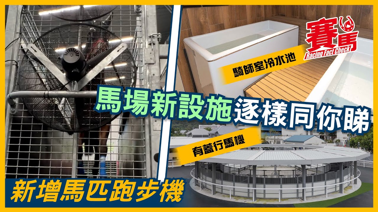沙田新馬房更舒適！每個馬格都有閉路電視；行馬機增建上蓋防日曬雨淋 新騎師室有桑拿房蒸氣室 仲新增冷水池回復肌肉  新增馬匹跑步機受歡迎 鍛鍊馬匹肌肉和氣量 CC中文字幕#賽馬FactCheck