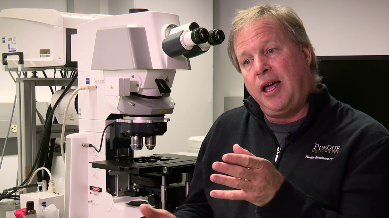 Botany and Plant Pathology Microscope & Imaging Centers